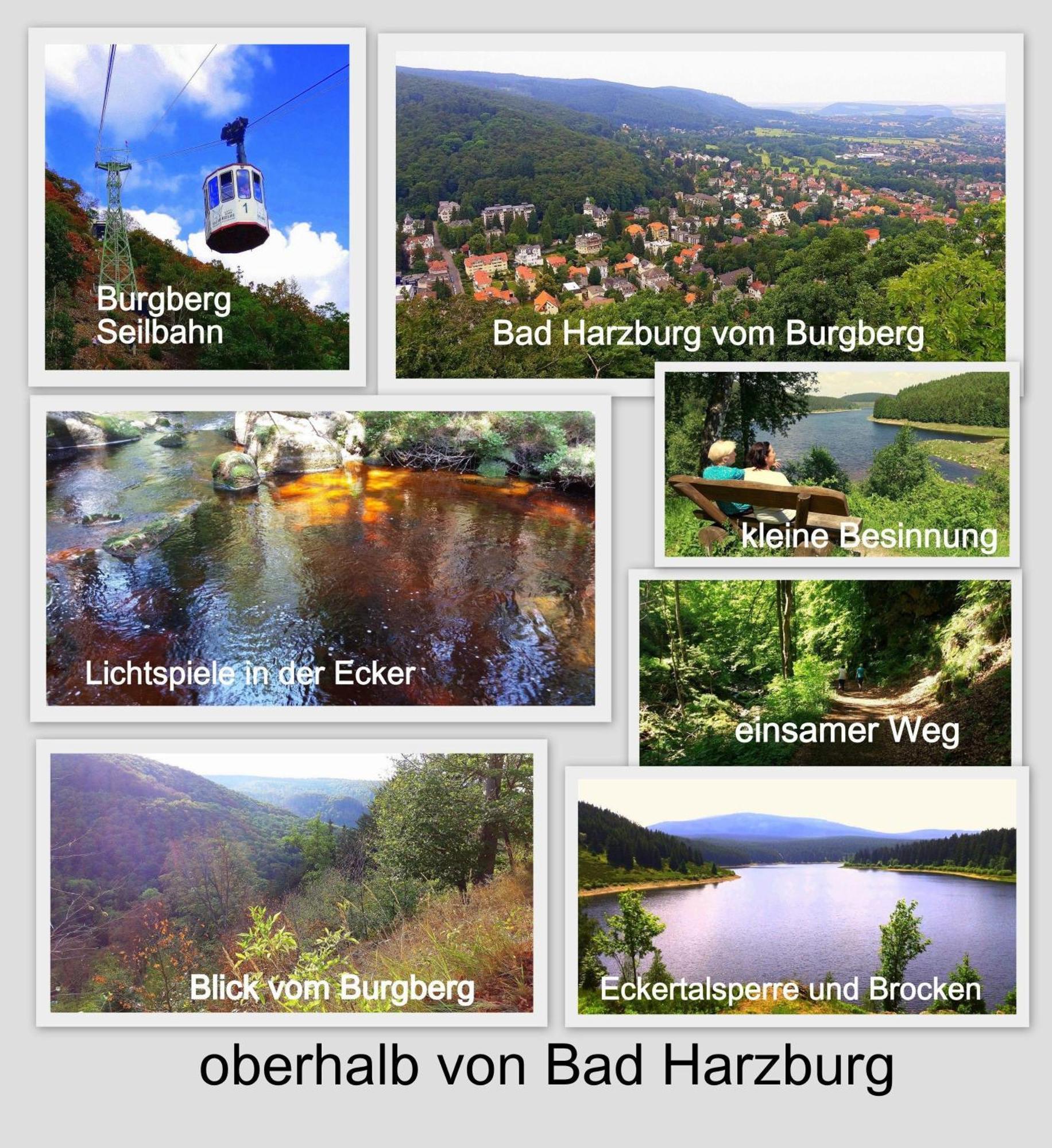 Fewo-Radau Bad Harzburg Exterior foto