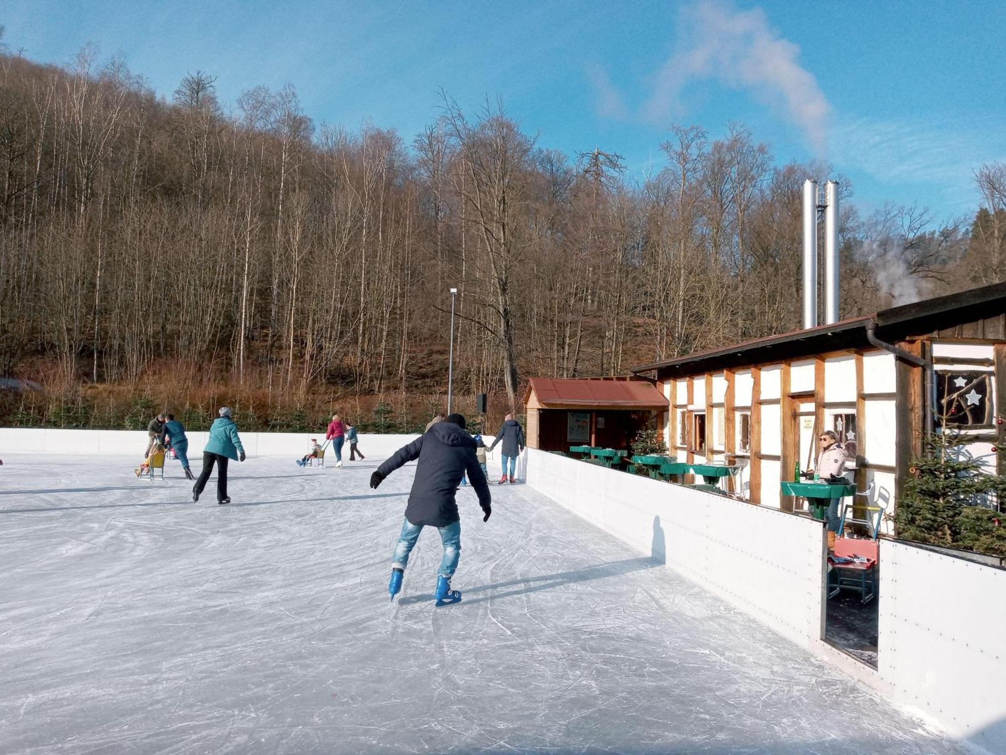 Fewo-Radau Bad Harzburg Exterior foto